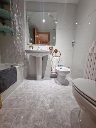 a bathroom with a sink and a toilet at VALDI-BIESCAS in Biescas