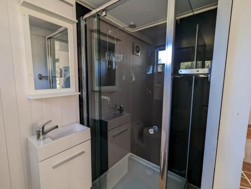 a bathroom with a shower and a sink at M13 Tiny House at Grampians Edge in Dadswells Bridge