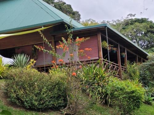 a small house with a green roof and some plants at Oasis de Tendéa - Bali à Farino in Farino