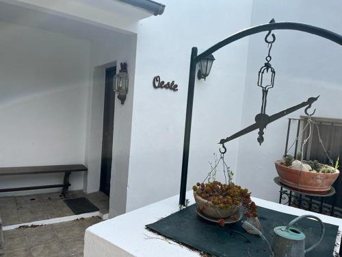 una mesa con una cesta de plantas en una habitación en Casa rural en Conil de la Frontera - Casa Oeste, en Cádiz