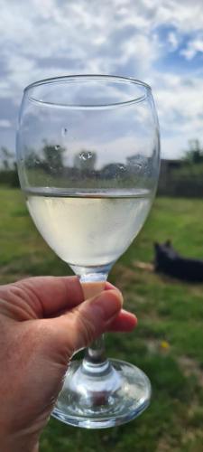 a person holding a wine glass in a field at Little Owls Nest - 2 Bed - Pet Friendly w Field in Wisbech