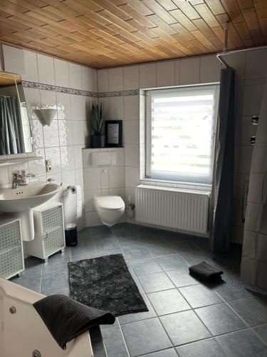 a bathroom with a sink and a toilet and a window at Eifel Ferienwohnung Thiel in Oberstadtfeld