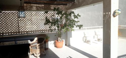 a patio with two potted plants and a bench at Ático en terrazas de Garrucha con vistas al mar. in Garrucha