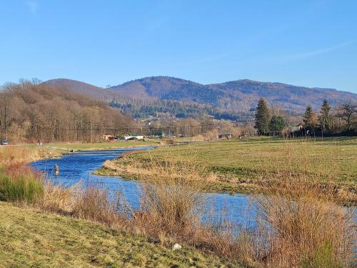 a river in a field with mountains in the background at DOM NA GóRCE w Beskidach in Górki Wielkie
