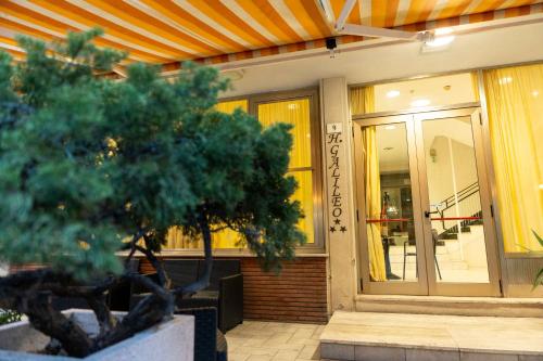 Un albero in un vaso di fronte a un edificio di Hotel Galileo a Rimini