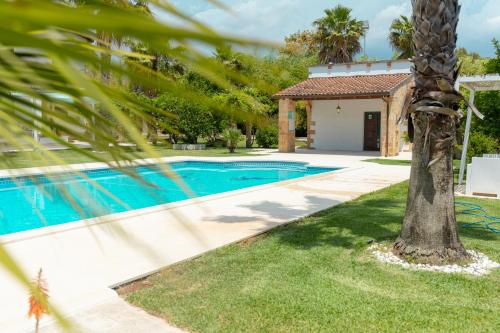 una piscina di fronte a una casa con una palma di Villa Padula a Sogliano Cavour