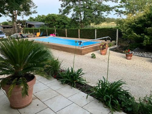 a swimming pool with plants in a yard at Chambre chez Alain et Armelle in Avoine