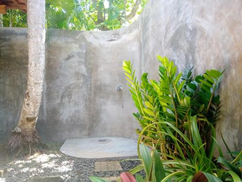 a shower in a concrete wall with a tree at Turtle Eco Beach in Matara