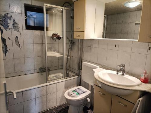 a bathroom with a shower and a toilet and a sink at Apartment Bamboleo in Veringendorf