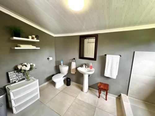 ein Badezimmer mit einem weißen Waschbecken und einem WC in der Unterkunft Eagles Rest Cottage in Margate