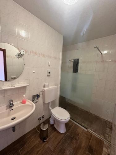 a bathroom with a toilet and a sink and a shower at Hotel und Restaurant Sackwitzer Mühle in Bad Schmiedeberg