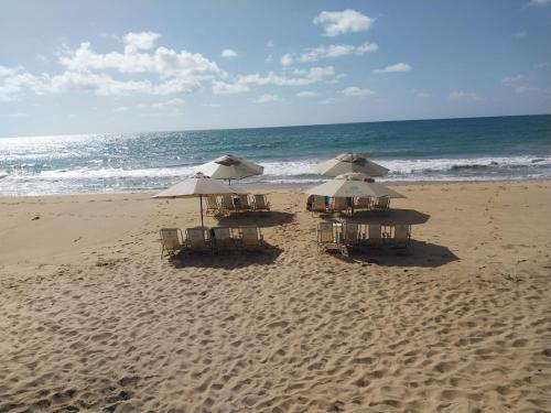 three chairs and umbrellas on a beach with the ocean at Portoparadise - Beach Class Eco life Residence in Porto De Galinhas