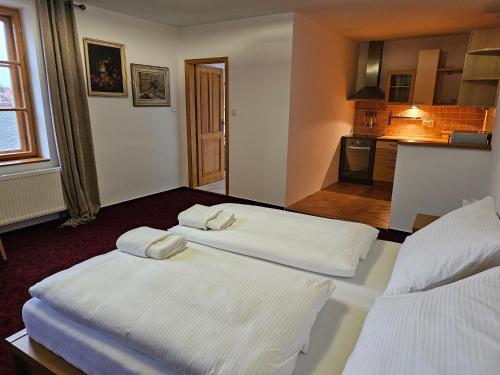 two beds in a room with a kitchen at Hotel Bílá Paní in Jindrichuv Hradec