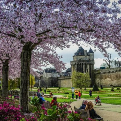 un parc avec des personnes assises sur des bancs sous un arbre et des fleurs dans l'établissement Charmant studio proche Port et Centre Ville, à Vannes