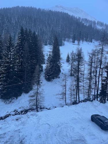 a car parked on a snow covered hill with trees at Casa Adriana Foppolo 3 camere da letto in Foppolo