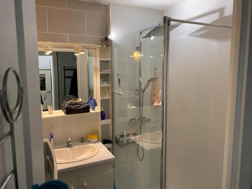 une salle de bain avec une douche en verre et un lavabo dans l'établissement Bel appartement T2 sur le Bassin d'Arcachon, à Gujan-Mestras