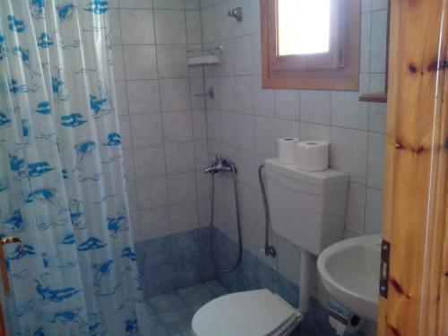 法納里的住宿－德拉卡諾賓館，一间带卫生间和淋浴帘的浴室