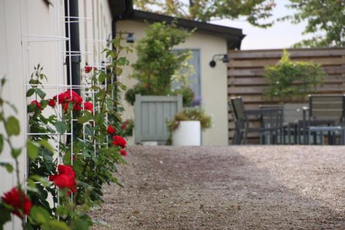a house with red roses on the side of it at Örums Nygård Gårdshotell in Löderup