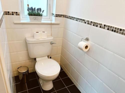 a bathroom with a toilet and a window at 6 Knightshaven Holiday Village - Valentia Island in Knights Town