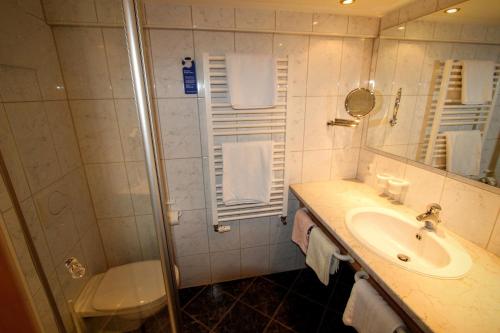 a bathroom with a shower and a sink and a toilet at Gatterhof in Riezlern