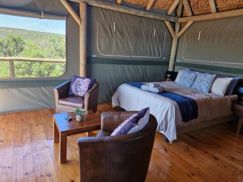 1 dormitorio con 1 cama, 2 sillas y mesa en Harmony Luxury Tents & Safari, en Addo