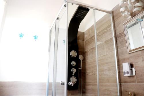 a shower in a bathroom with a glass wall at Appartamento La Pelosa in Stintino