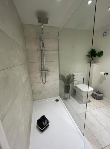 La salle de bains est pourvue d'une douche et de toilettes. dans l'établissement The Studio, à Appledram