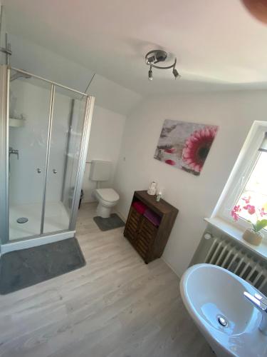 La salle de bains est pourvue d'une douche, d'un lavabo et de toilettes. dans l'établissement Ferienwohnung Anni, à Dörfles