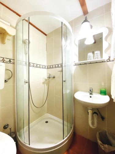 a bathroom with a shower and a sink at etno kuća Đeram in Mokrin