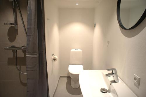 a bathroom with a toilet and a sink and a mirror at (id116) Nørregade 51 kld tv in Esbjerg