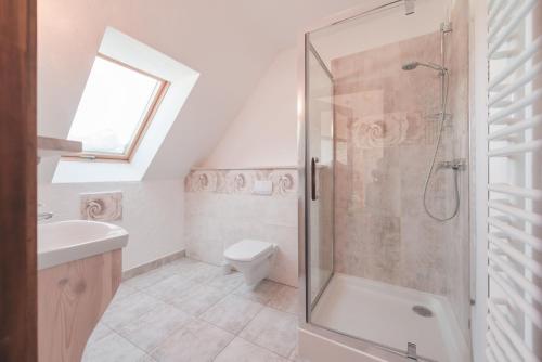 a bathroom with a shower and a toilet and a sink at Sosnowy Dwór in Cisna