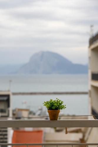 Φυσικό τοπίο κοντά σε αυτό το διαμέρισμα