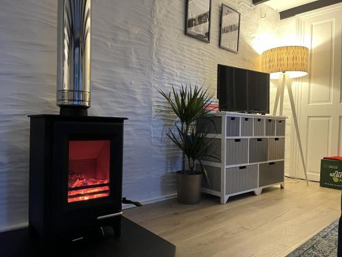 a living room with a fireplace and a tv at The Coach House Newcastle Emlyn in Newcastle Emlyn