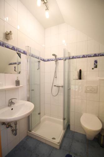 a bathroom with a shower and a sink and a toilet at Privatzimmer Fam. Führer in Ottenschlag