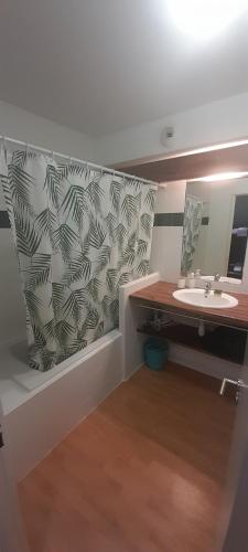 une salle de bain avec un lavabo et un miroir dans l'établissement Appartement du Mouflon Vert, dans résidence de tourisme 3 étoiles, à Lourdes