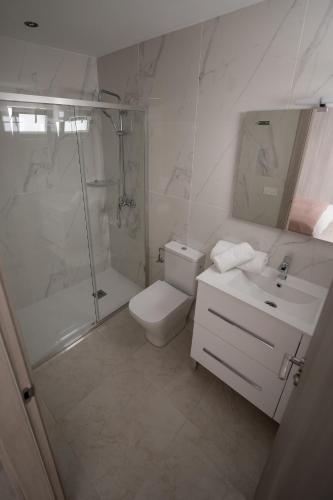 a bathroom with a shower and a toilet and a sink at Viviendas Vacacionales Aurea in Arrecife