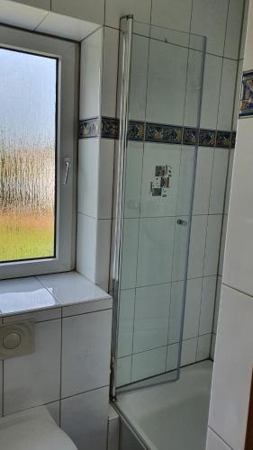 a shower with a glass door in a bathroom at Klimatisierte Wohnung Kastanie mit Balkon in Löhne