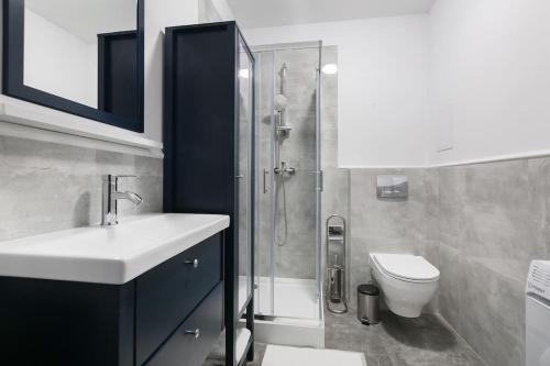 a bathroom with a sink and a shower and a toilet at Mieszkanie blisko Zawiszy in Bydgoszcz