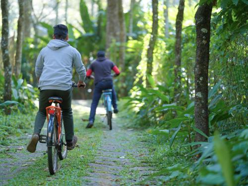 two people riding bikes on a trail in the woods at Mystic Mayapott, Thekkady in Thekkady