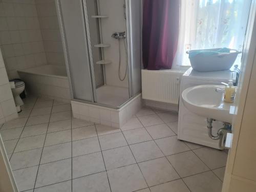 a bathroom with a shower and a toilet and a sink at Ferienwohnung Dippoldiswalde in Dippoldiswalde