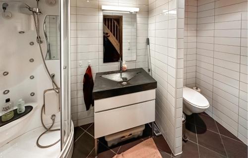 een badkamer met een wastafel, een toilet en een douche bij 4 Bedroom Beautiful Home In Rysstad in Rysstad