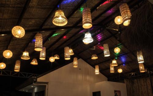 a bunch of lights hanging from a ceiling at Wild Monkeys Hostel in Moalboal
