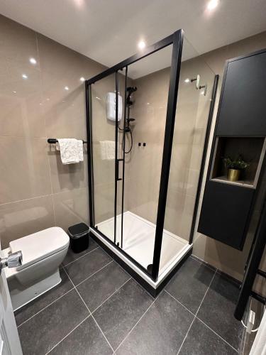 a bathroom with a shower stall and a toilet at Private Room in Modern Shared Apartment, Each with Kitchenette, Central Birmingham R2 in Birmingham