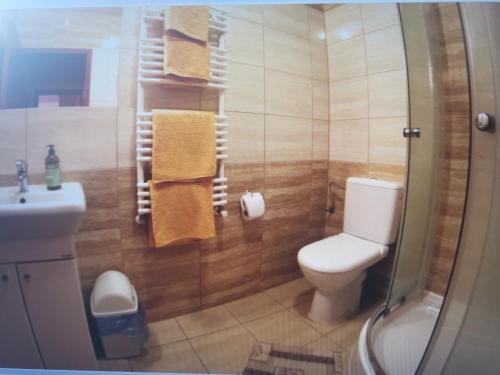 a bathroom with a toilet and a shower with towels at Willa Mister J. in Dziwnów