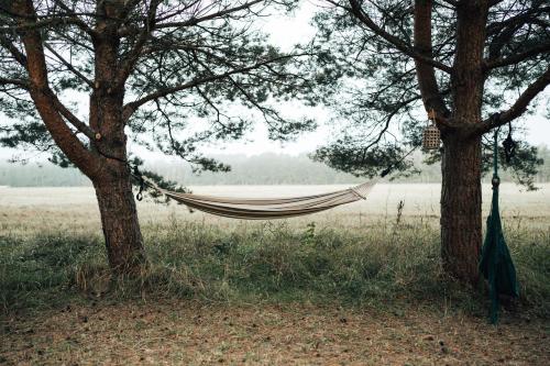 Paisagem natural perto deste camping