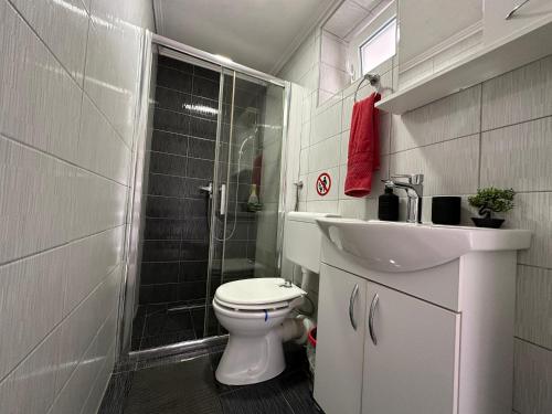 a bathroom with a shower and a toilet and a sink at SWEET apartment near Old Town in Mostar