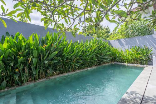 a swimming pool with green plants next to a wall at Villa Days Bali in Jimbaran