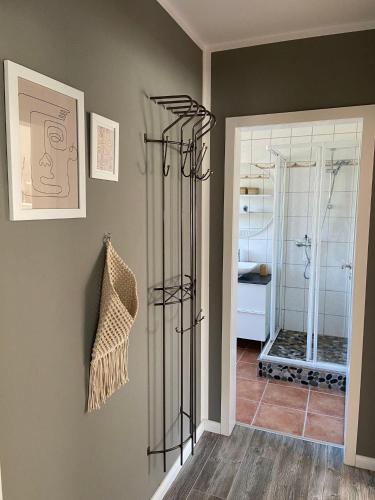 a bathroom with a shower and a walk in showeroser at Ferienwohnung Idylle auf Fehmarn I in Vitzdorf