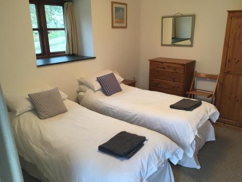 Duas camas num quarto com uma cómoda e um espelho em Goodrevy Barn em Launceston