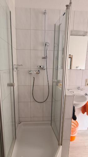 a shower with a glass door next to a sink at Schwabenstuben Einzelzimmer in Meersburg